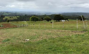 Sitio en Venta en Ruta V 488