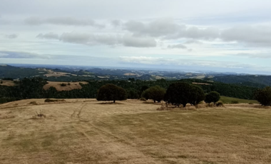 Sitio en Venta en Ruta V 488