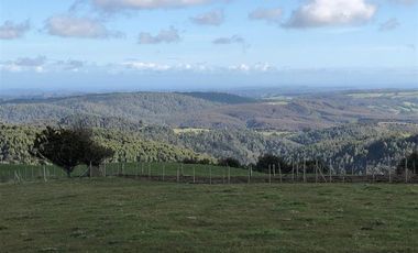 Sitio en Venta en Ruta V 488