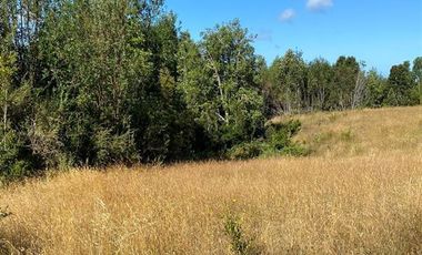 Sitio en Venta en Ruta V 488