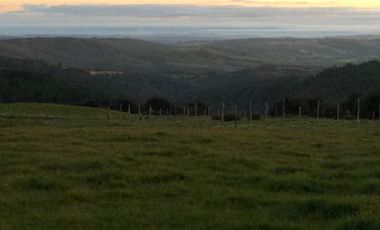 Sitio en Venta en Ruta V 488