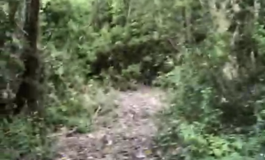 Sitio en Venta en Ruta V 488