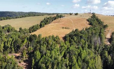 Sitio en Venta en Ruta V 488