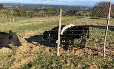 Sitio en Venta en Ruta V 488