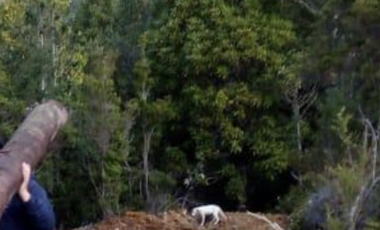 Sitio en Venta en Ruta V 488