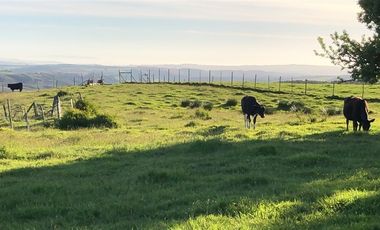 Sitio en Venta en Ruta V 488