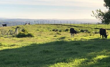 Sitio en Venta en Ruta V 488