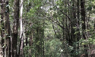 Sitio en Venta en Ruta V 488