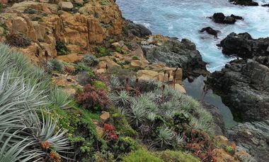 Sitio en Venta en Condominio Bahía Azul