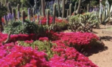 Sitio en Venta en Condominio Bahía Azul