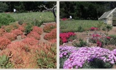 Sitio en Venta en Condominio Bahía Azul