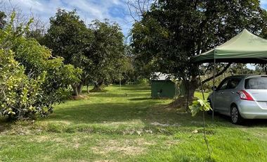Sitio en Arriendo en Camino al rio Parcela 65