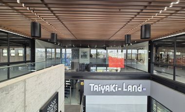 LOCALES EN RENTA METEPEC