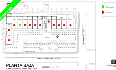 LOCALES EN RENTA METEPEC