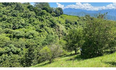 VENDO CASA LOTE SAN JERÓNIMO ANTIOQUIA