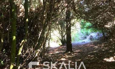 Sitio en Venta en playa Ramuntcho
