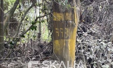 Sitio en Venta en playa Ramuntcho