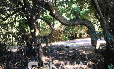 Sitio en Venta en playa Ramuntcho