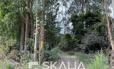 Sitio en Venta en playa Ramuntcho