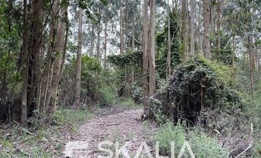 Sitio en Venta en playa Ramuntcho