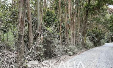 Sitio en Venta en playa Ramuntcho