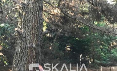 Sitio en Venta en playa Ramuntcho