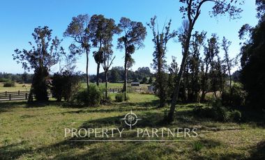 Preciosa parcela de 5.000 m2 con vegetación nativa en el sector de Los Riscos