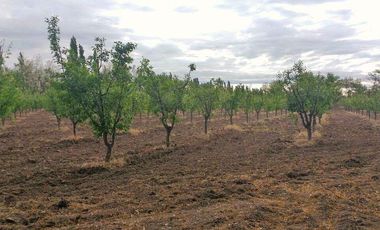 finca con casa y galpón en Colonia Rusa