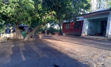 finca con casa y galpón en Colonia Rusa