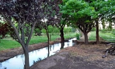 Finca con frutales