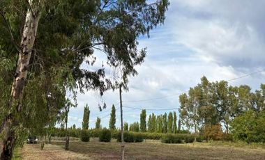 Finca con frutales