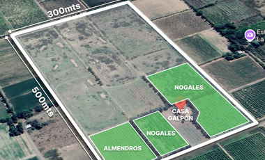 Finca con frutales