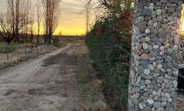 Finca con casa, galpón, animales y frutales-