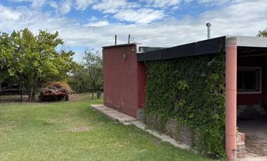 Finca con casa, galpón, animales y frutales-