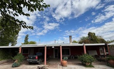 Finca con casa, galpón, animales y frutales-