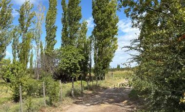 Finca con casa, galpón, animales y frutales-