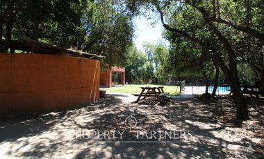 Acogedora Parcela en comunidad ecológica águila sur, emplazada dentro de un frondoso bosque nativo en el cerro