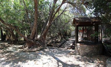 Acogedora Parcela en comunidad ecológica águila sur, emplazada dentro de un frondoso bosque nativo en el cerro