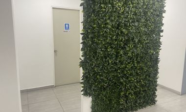 Oficinas en renta o venta en San Jerónimo Aculco A unos pasos de Periférico Sur