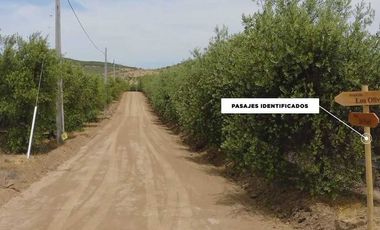 Parcela en venta en TALCA