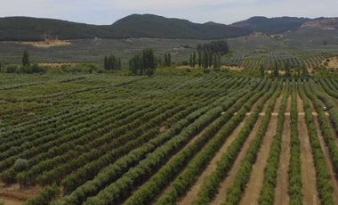 Parcela en venta en TALCA