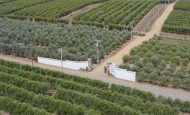 Parcela en venta en TALCA