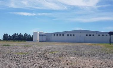 Excelente Planta Industrial en Actividad - San Pedro Bs As.