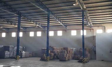 Excelente Planta Industrial en Actividad - San Pedro Bs As.