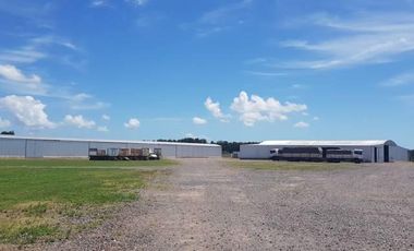 Excelente Planta Industrial en Actividad - San Pedro Bs As.