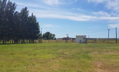 Excelente Planta Industrial en Actividad - San Pedro Bs As.
