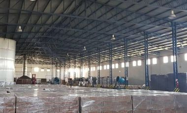 Excelente Planta Industrial en Actividad - San Pedro Bs As.