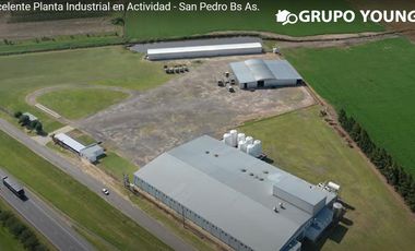 Excelente Planta Industrial en Actividad - San Pedro Bs As.