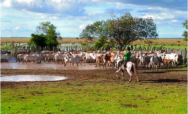FINCA GANADERA EN VENTA, PUERTO GAITAN META
