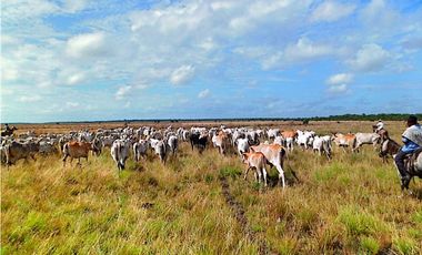 FINCA GANADERA EN VENTA, PUERTO GAITAN META